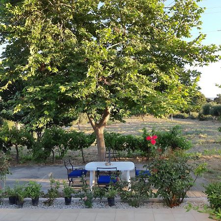 ZipárionSwan House Panoramic View - Near The Sea别墅 外观 照片