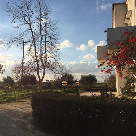 ZipárionSwan House Panoramic View - Near The Sea别墅 外观 照片