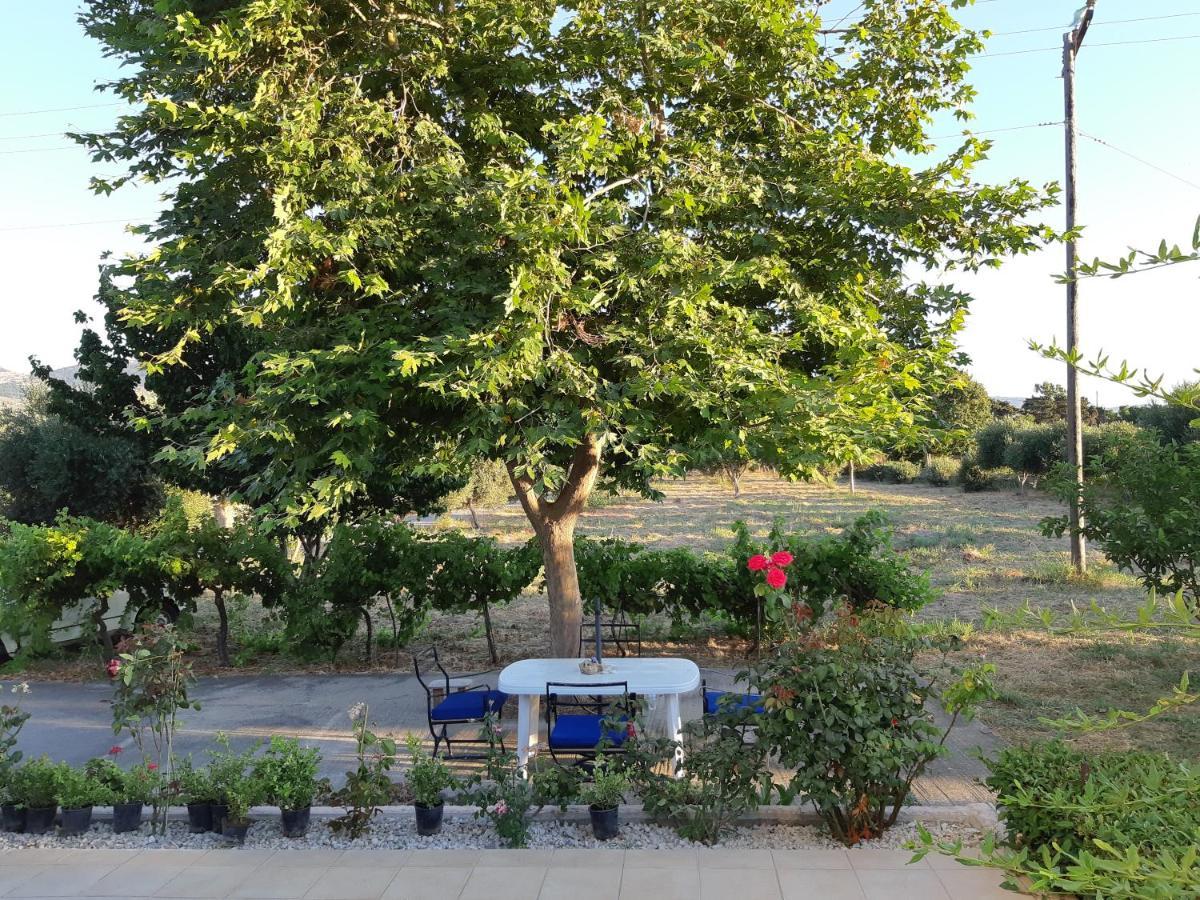 ZipárionSwan House Panoramic View - Near The Sea别墅 外观 照片