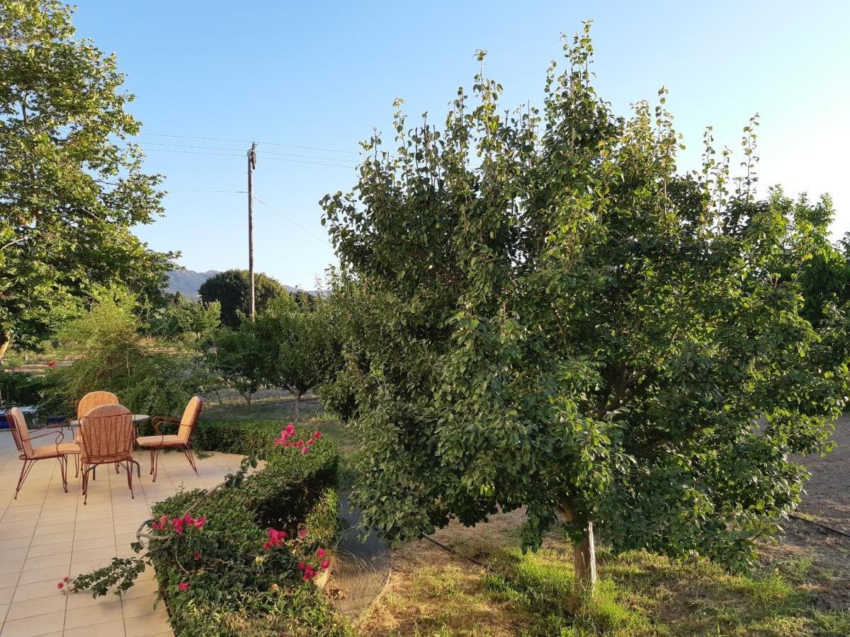 ZipárionSwan House Panoramic View - Near The Sea别墅 外观 照片