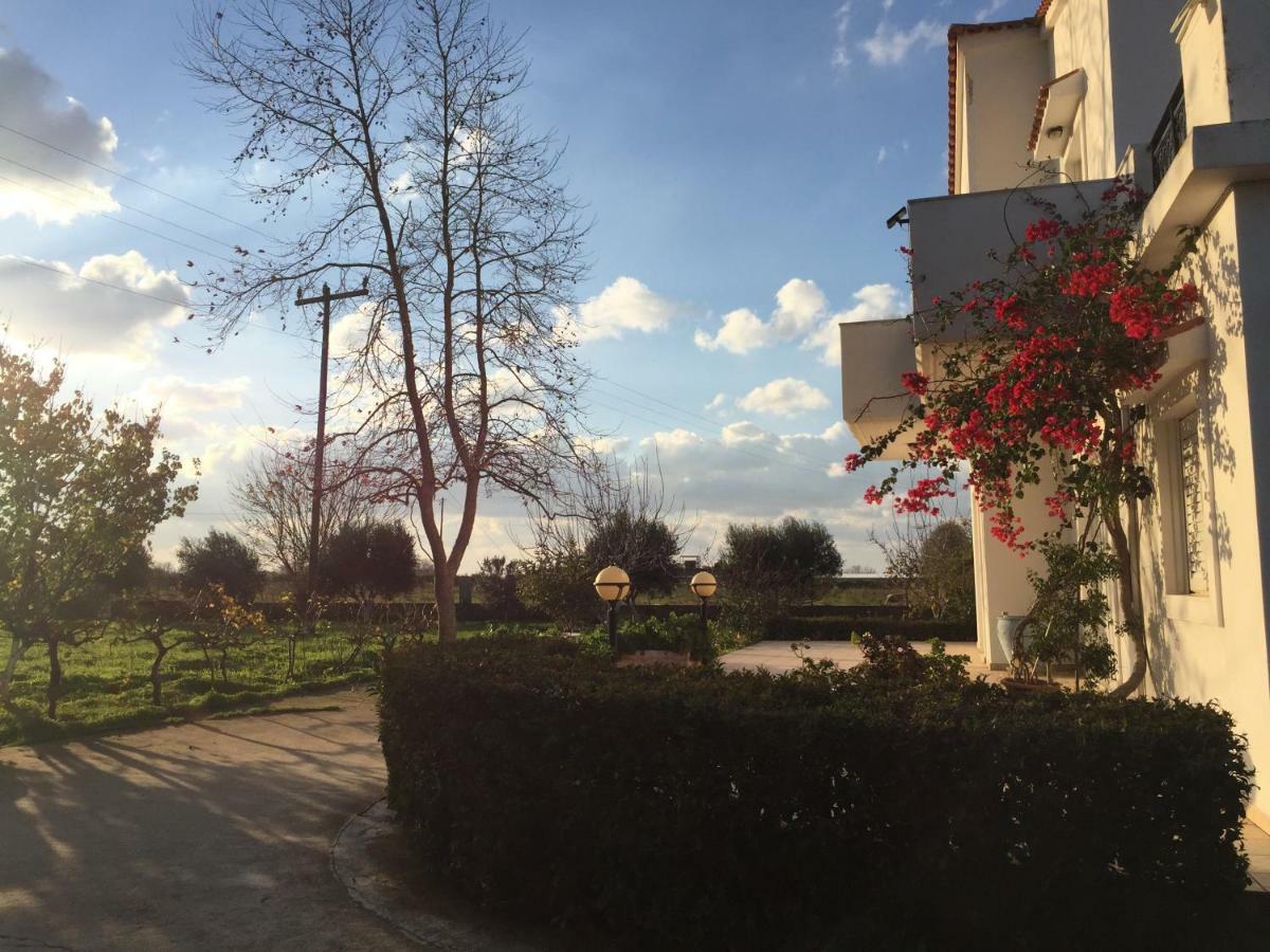 ZipárionSwan House Panoramic View - Near The Sea别墅 外观 照片